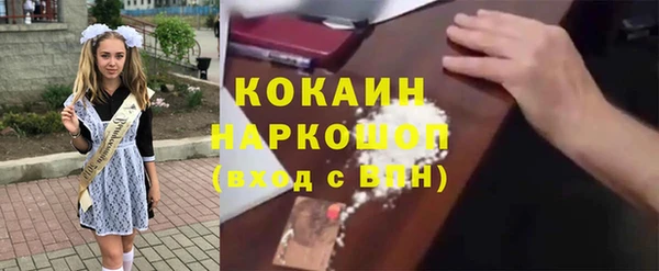 прущие грибы Лабытнанги