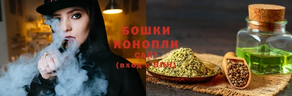 прущие грибы Лабытнанги
