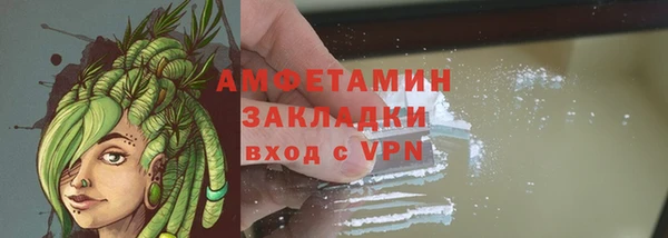 прущие грибы Лабытнанги