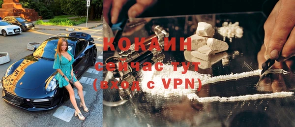 прущие грибы Лабытнанги