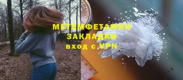 прущие грибы Лабытнанги