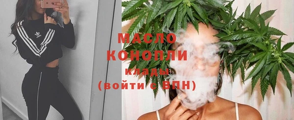 прущие грибы Лабытнанги
