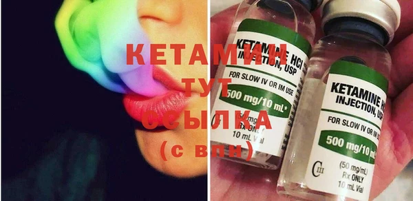 прущие грибы Лабытнанги